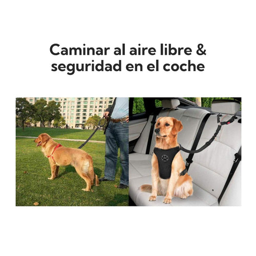 Correa Leash Para Mascotas