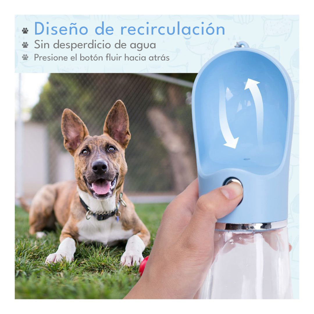 Dispensador Agua Mascotas