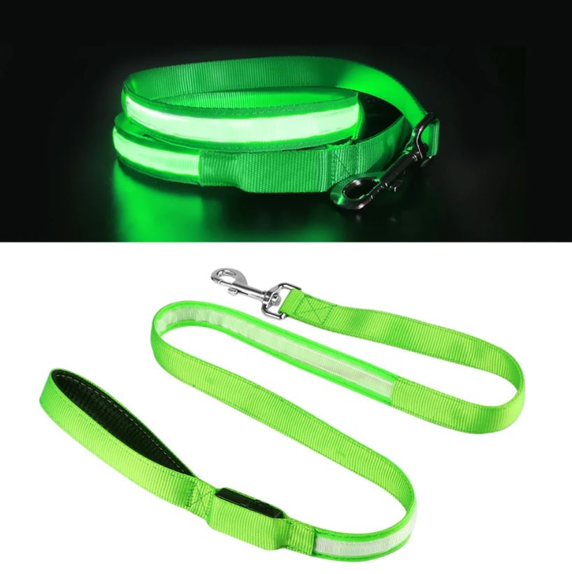 Correa LED Para Mascotas