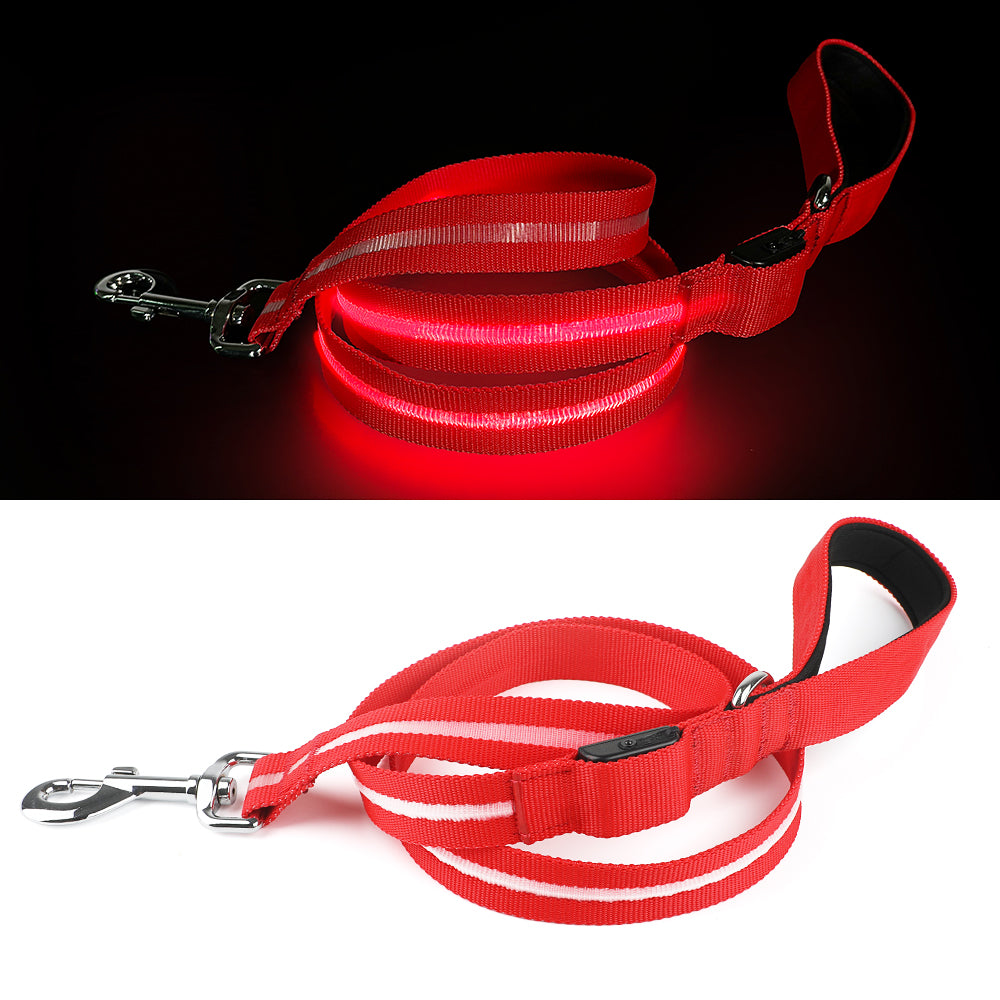 Correa LED Para Mascotas