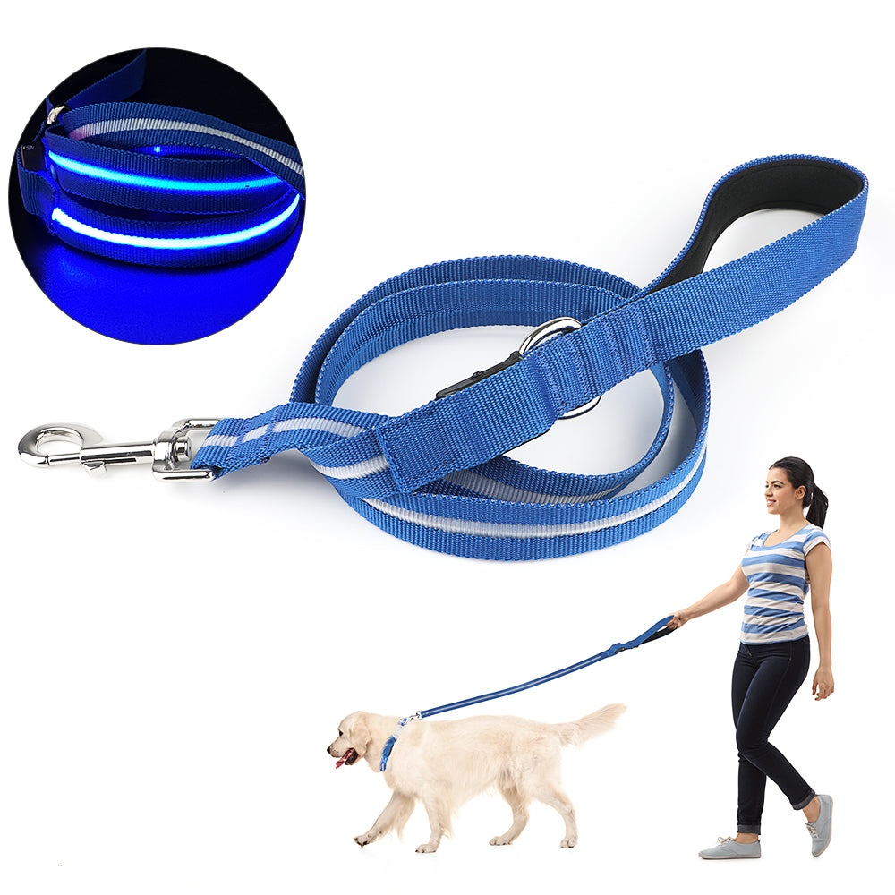 Correa LED Para Mascotas